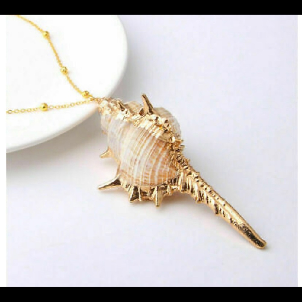 Seashell necklace